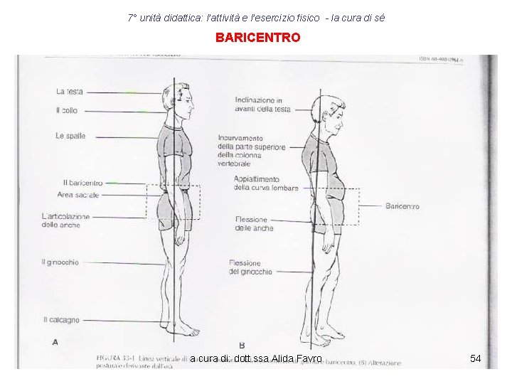 7° unità didattica: l’attività e l’esercizio fisico - la cura di sé BARICENTRO a