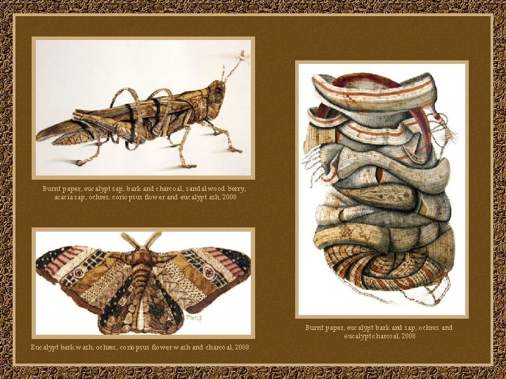 Burnt paper, eucalypt sap, bark and charcoal, sandal wood berry, acacia sap, ochres, coriopsus