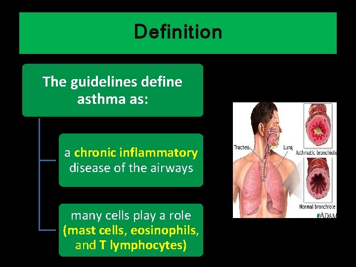 Definition The guidelines define asthma as: a chronic inflammatory disease of the airways many