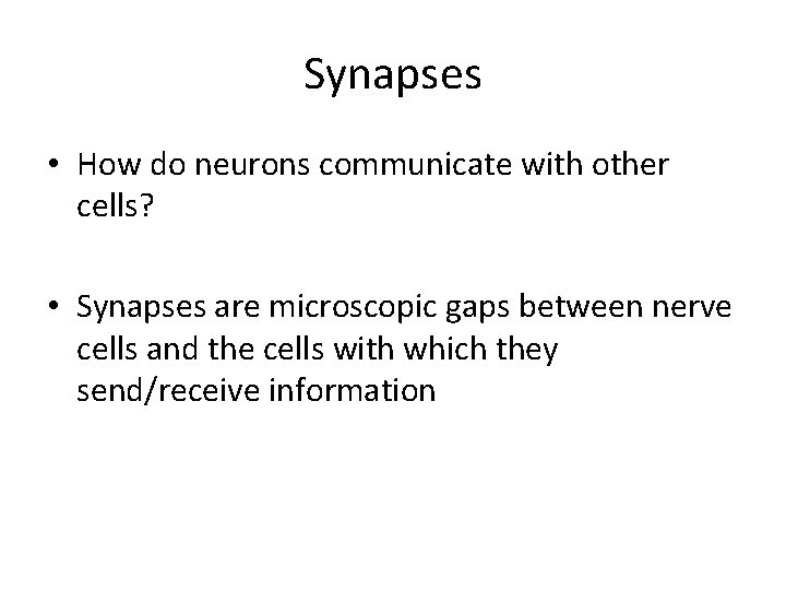 Synapses • How do neurons communicate with other cells? • Synapses are microscopic gaps