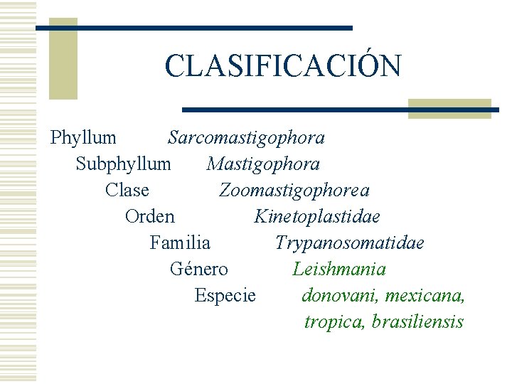 CLASIFICACIÓN Phyllum Sarcomastigophora Subphyllum Mastigophora Clase Zoomastigophorea Orden Kinetoplastidae Familia Trypanosomatidae Género Leishmania Especie CLASIFICACIÓN Phyllum Sarcomastigophora Subphyllum Mastigophora Clase Zoomastigophorea Orden Kinetoplastidae Familia Trypanosomatidae Género Leishmania Especie