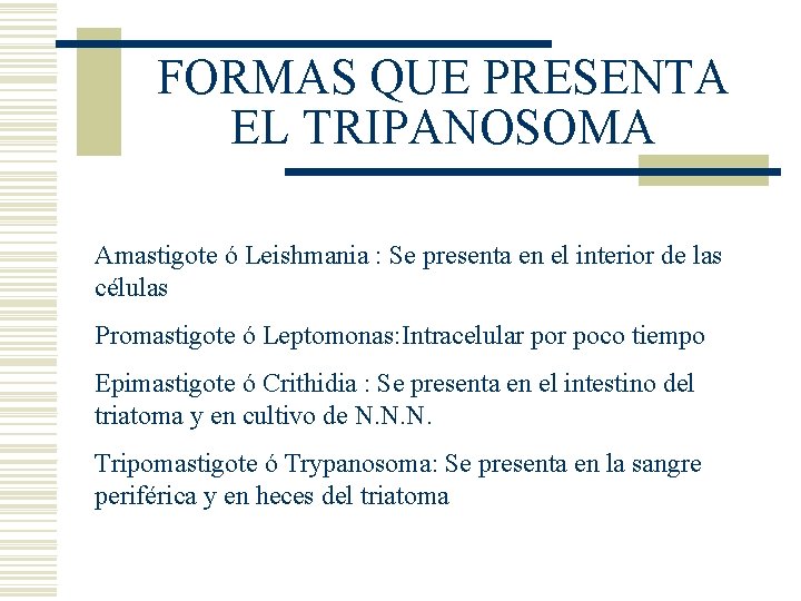 FORMAS QUE PRESENTA EL TRIPANOSOMA Amastigote ó Leishmania : Se presenta en el interior FORMAS QUE PRESENTA EL TRIPANOSOMA Amastigote ó Leishmania : Se presenta en el interior