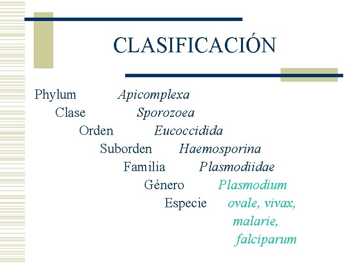 CLASIFICACIÓN Phylum Apicomplexa Clase Sporozoea Orden Eucoccidida Suborden Haemosporina Familia Plasmodiidae Género Plasmodium Especie CLASIFICACIÓN Phylum Apicomplexa Clase Sporozoea Orden Eucoccidida Suborden Haemosporina Familia Plasmodiidae Género Plasmodium Especie