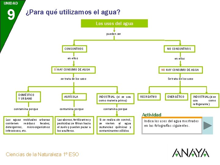 UNIDAD 9 ¿Para qué utilizamos el agua? Los usos del agua pueden ser CONSUNTIVOS