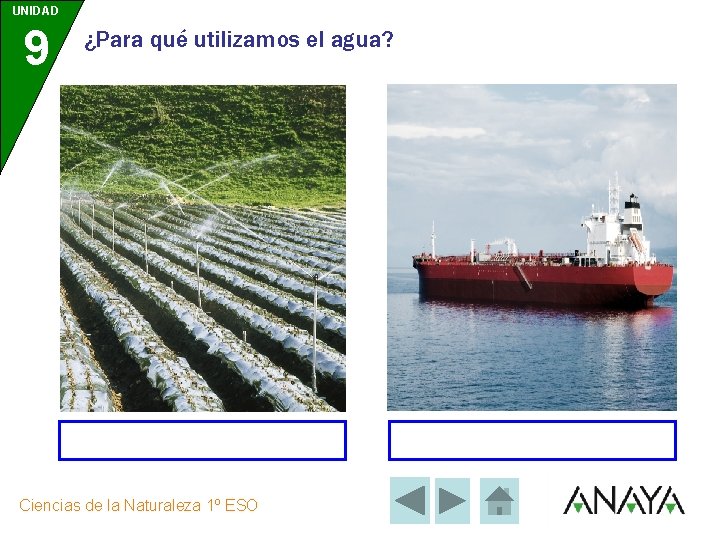 UNIDAD 9 ¿Para qué utilizamos el agua? Ciencias de la Naturaleza 1º ESO 