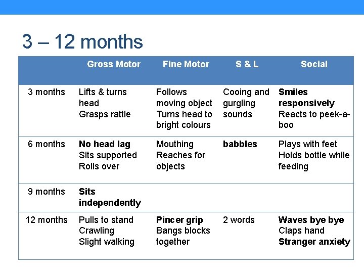 3 – 12 months Gross Motor Fine Motor S&L Social 3 months Lifts &