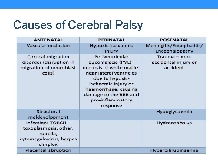Causes of Cerebral Palsy 