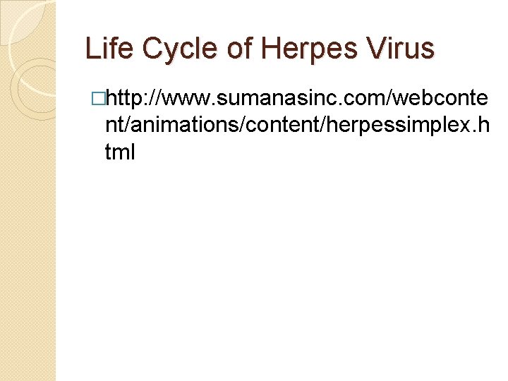 Life Cycle of Herpes Virus �http: //www. sumanasinc. com/webconte nt/animations/content/herpessimplex. h tml 