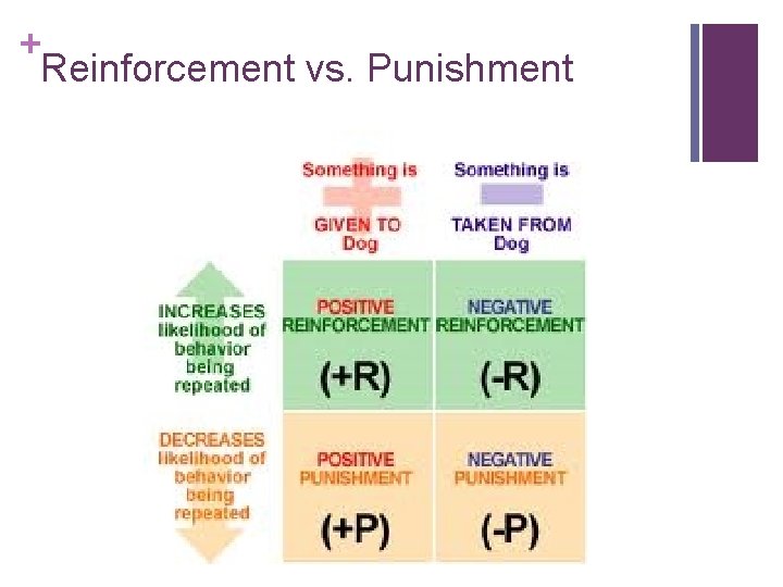 + Reinforcement vs. Punishment 
