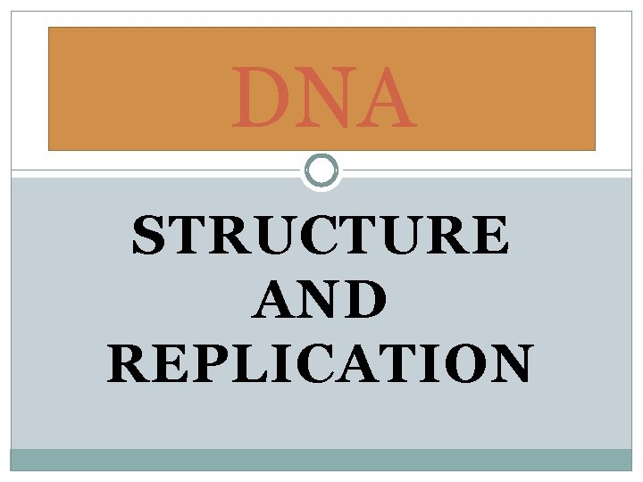 DNA STRUCTURE AND REPLICATION 