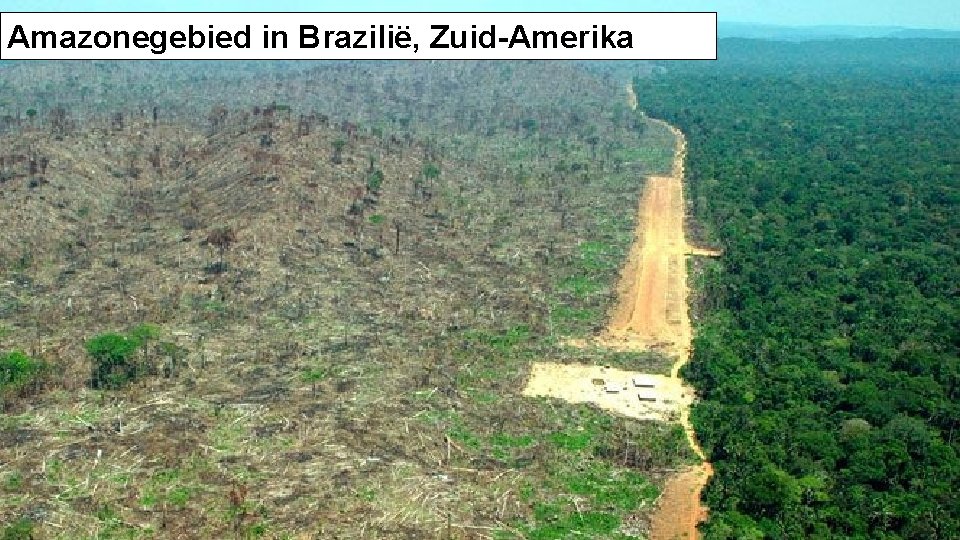 Amazonegebied in Brazilië, Zuid-Amerika 