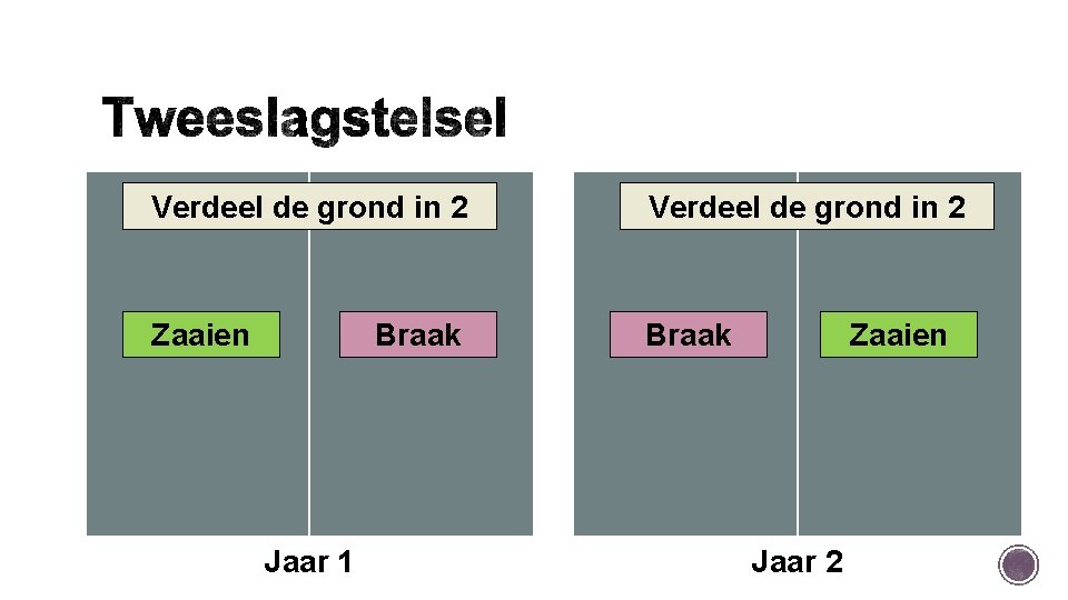 Verdeel de grond in 2 Zaaien Braak Jaar 1 Zaaien Jaar 2 