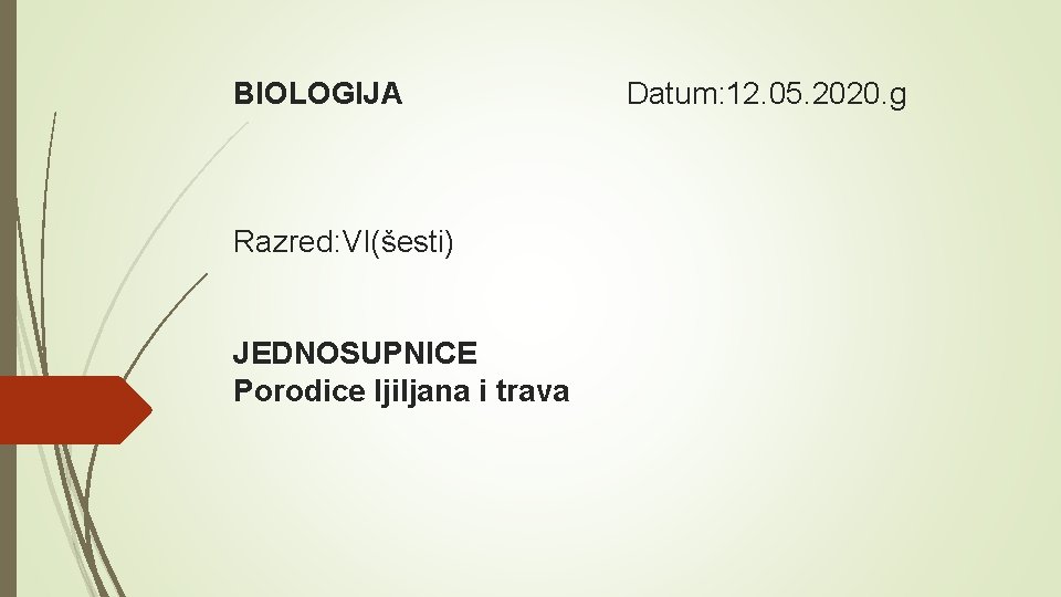 BIOLOGIJA Razred: VI(šesti) JEDNOSUPNICE Porodice ljiljana i trava Datum: 12. 05. 2020. g 