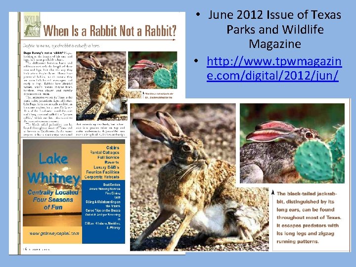  • June 2012 Issue of Texas Parks and Wildlife Magazine • http: //www.