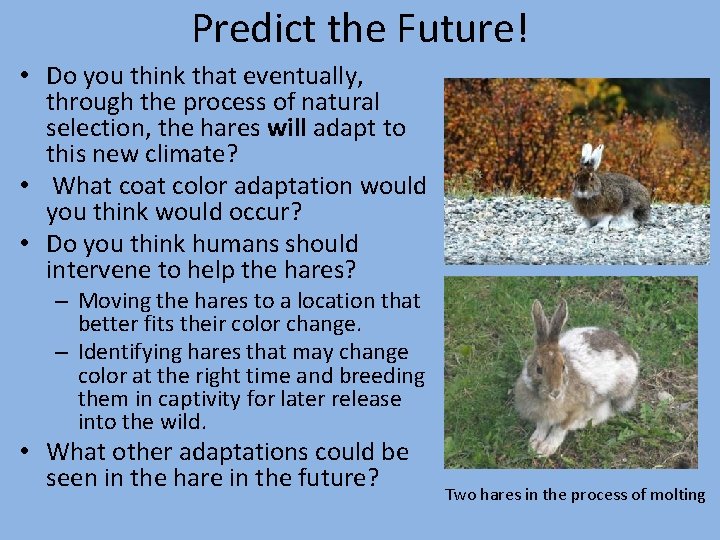 Predict the Future! • Do you think that eventually, through the process of natural