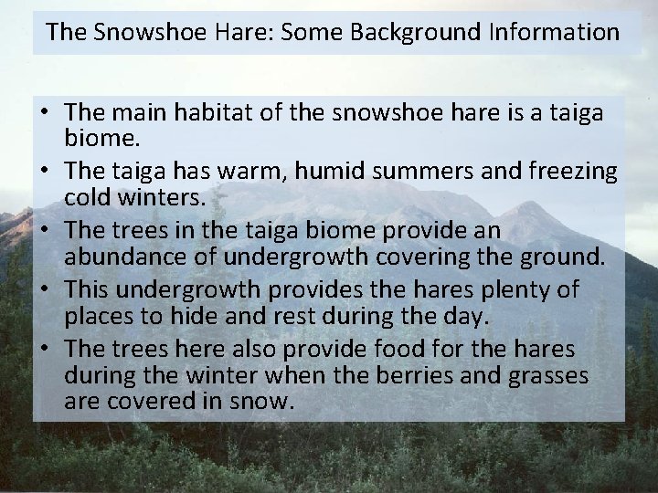  The Snowshoe Hare: Some Background Information • The main habitat of the snowshoe