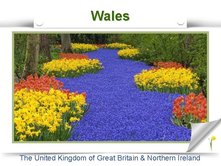 Wales The United Kingdom of Great Britain & Northern Ireland 