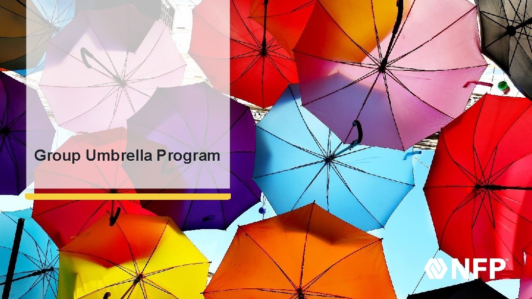 Group Umbrella Program 