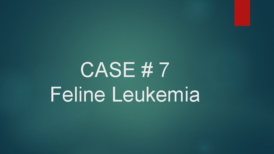CASE # 7 Feline Leukemia CASE # 7 Feline Leukemia