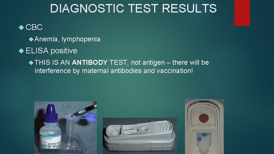 DIAGNOSTIC TEST RESULTS CBC Anemia, ELISA THIS lymphopenia positive IS AN ANTIBODY TEST, not DIAGNOSTIC TEST RESULTS CBC Anemia, ELISA THIS lymphopenia positive IS AN ANTIBODY TEST, not