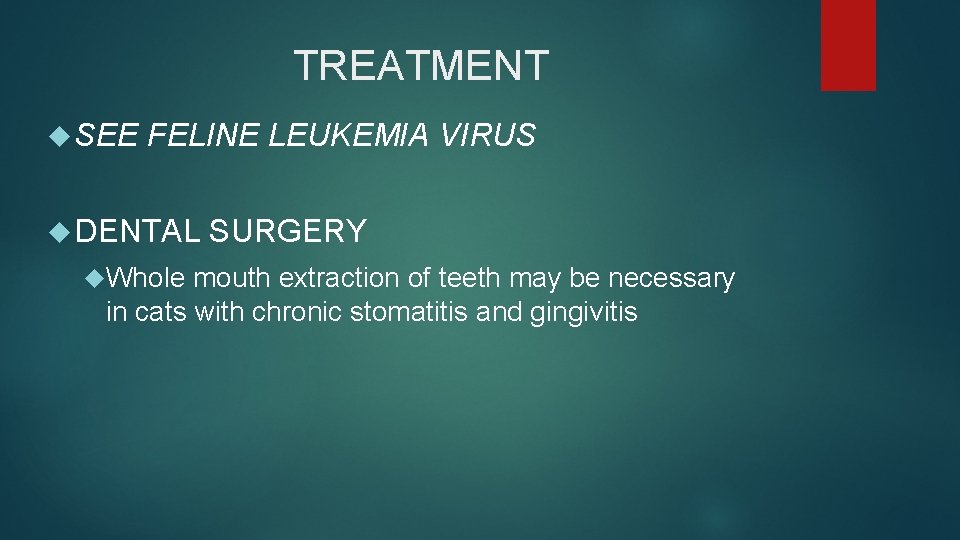 TREATMENT SEE FELINE LEUKEMIA VIRUS DENTAL Whole SURGERY mouth extraction of teeth may be TREATMENT SEE FELINE LEUKEMIA VIRUS DENTAL Whole SURGERY mouth extraction of teeth may be