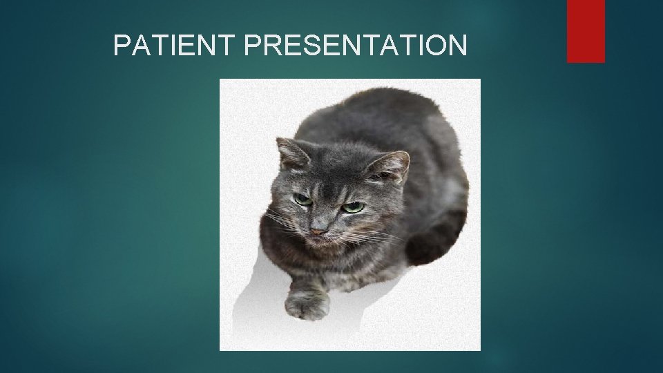 PATIENT PRESENTATION PATIENT PRESENTATION