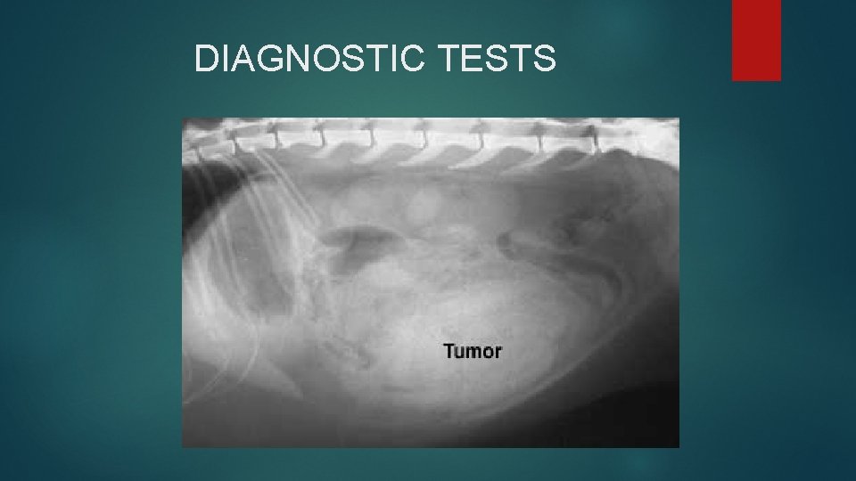 DIAGNOSTIC TESTS DIAGNOSTIC TESTS