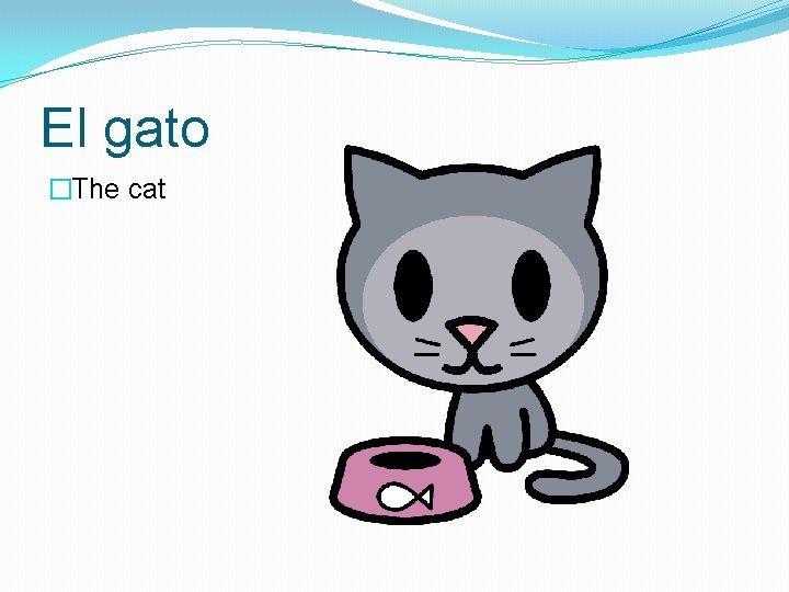El gato �The cat 