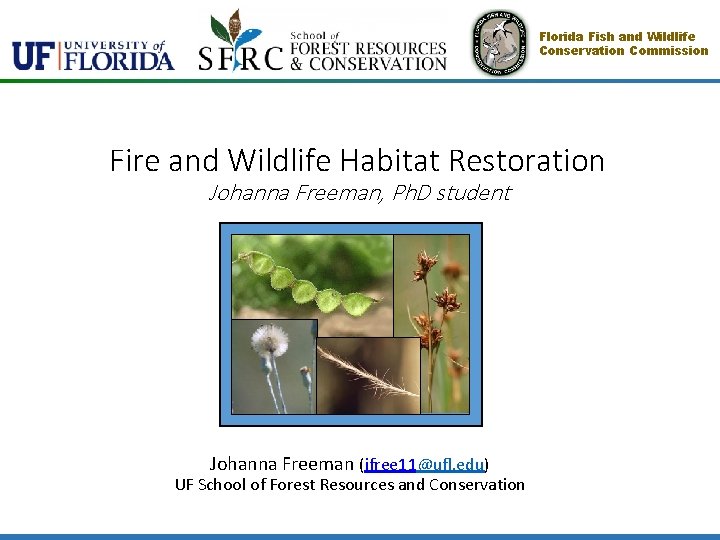 Florida Fish and Wildlife Conservation Commission Fire and Wildlife Habitat Restoration Johanna Freeman, Ph.