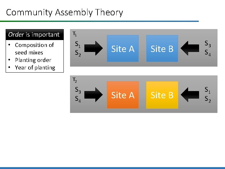 Community Assembly Theory Order is important • Composition of seed mixes • Planting order