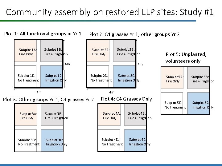 Community assembly on restored LLP sites: Study #1 Plot 1: All functional groups in