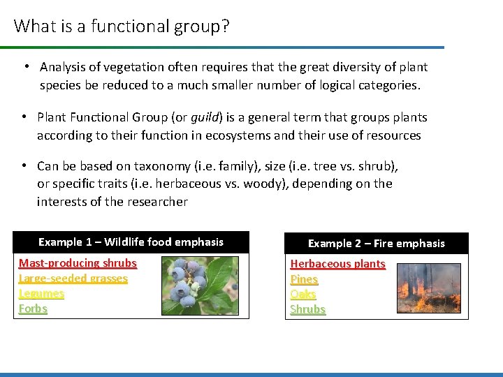 What is a functional group? • Analysis of vegetation often requires that the great