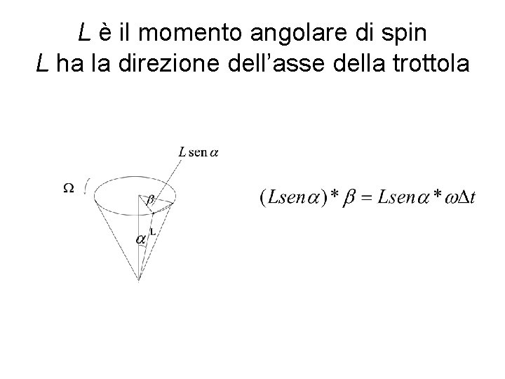 L è il momento angolare di spin L ha la direzione dell’asse della trottola