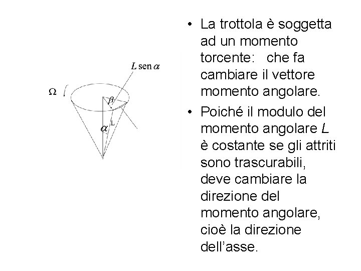  • La trottola è soggetta ad un momento torcente: che fa cambiare il