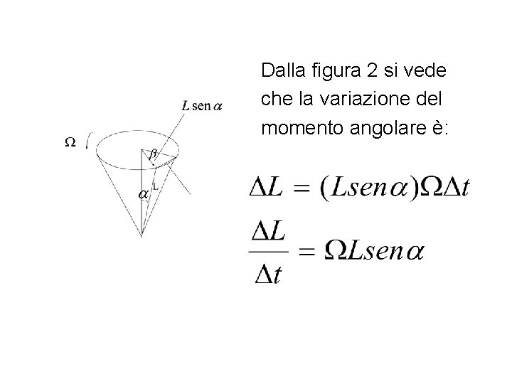 Dalla figura 2 si vede che la variazione del momento angolare è: 