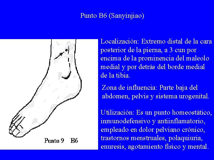 Punto B 6 (Sanyinjiao) Localización: Extremo distal de la cara posterior de la pierna,
