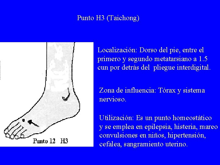 Punto H 3 (Taichong) Localización: Dorso del pie, entre el primero y segundo metatarsiano