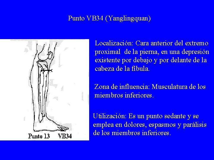 Punto VB 34 (Yanglingquan) Localización: Cara anterior del extremo proximal de la pierna, en