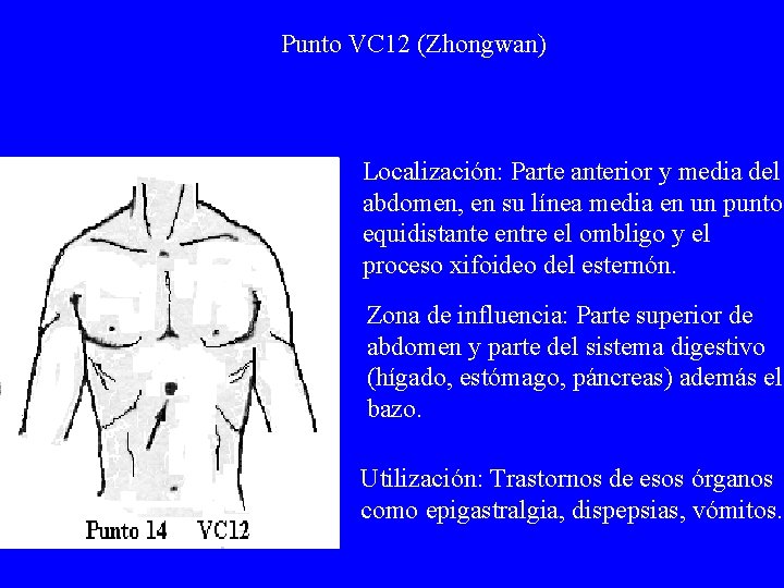 Punto VC 12 (Zhongwan) Localización: Parte anterior y media del abdomen, en su línea