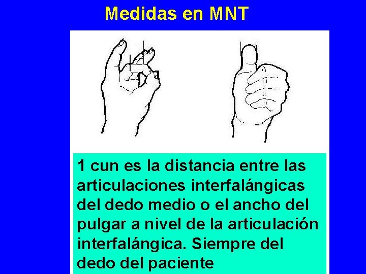 Medidas en MNT 1 cun es la distancia entre las articulaciones interfalángicas del dedo