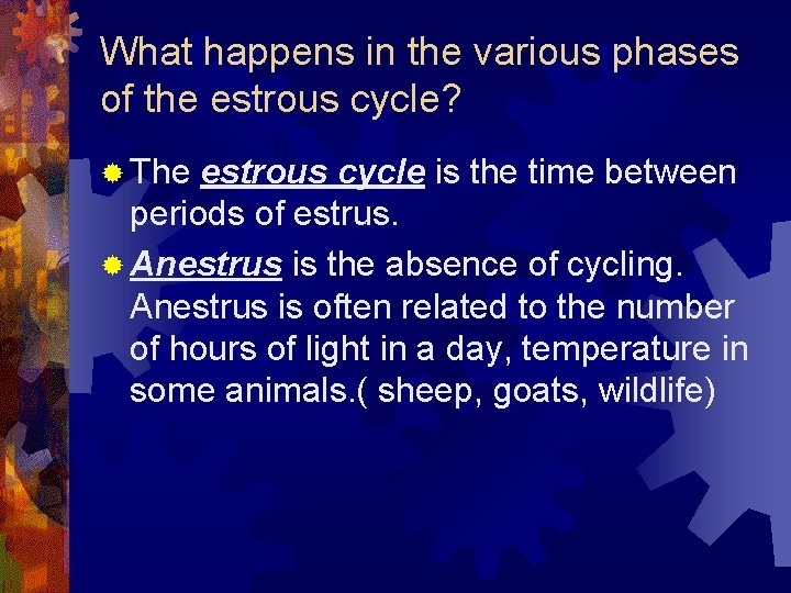 What happens in the various phases of the estrous cycle? ® The estrous cycle