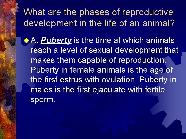 What are the phases of reproductive development in the life of an animal? ®