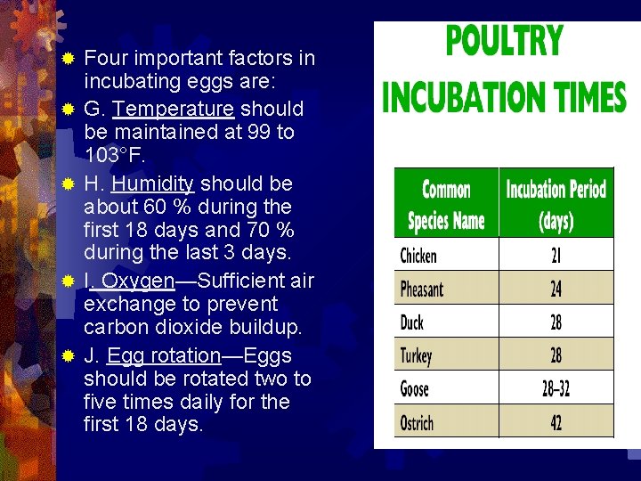 ® ® ® Four important factors in incubating eggs are: G. Temperature should be