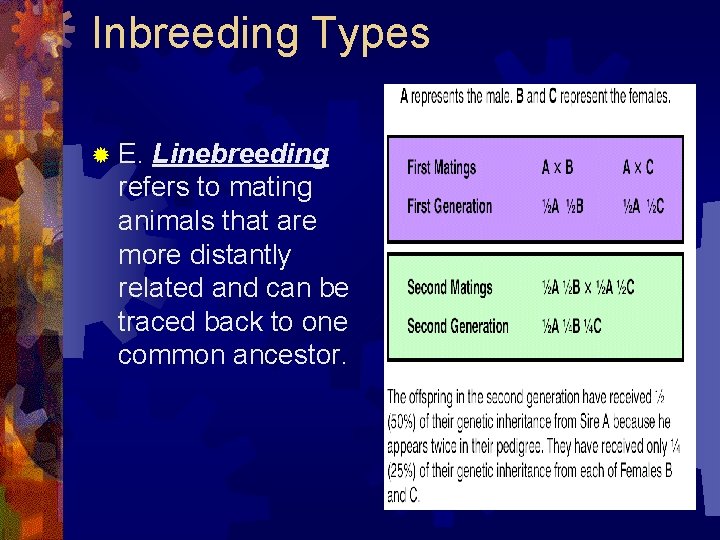 Inbreeding Types ® E. Linebreeding refers to mating animals that are more distantly related