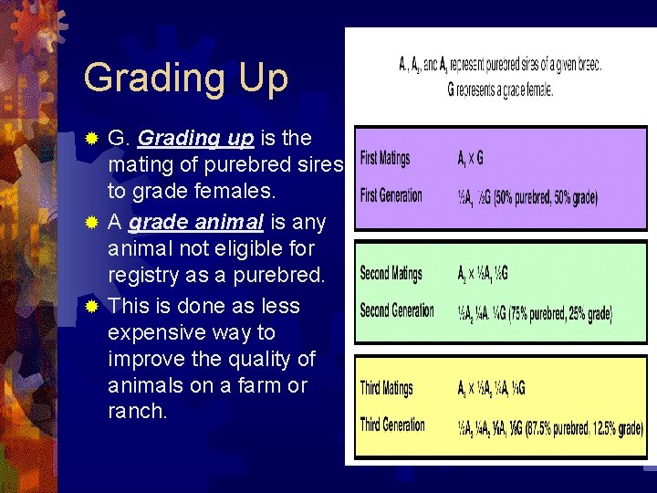 Grading Up G. Grading up is the mating of purebred sires to grade females.