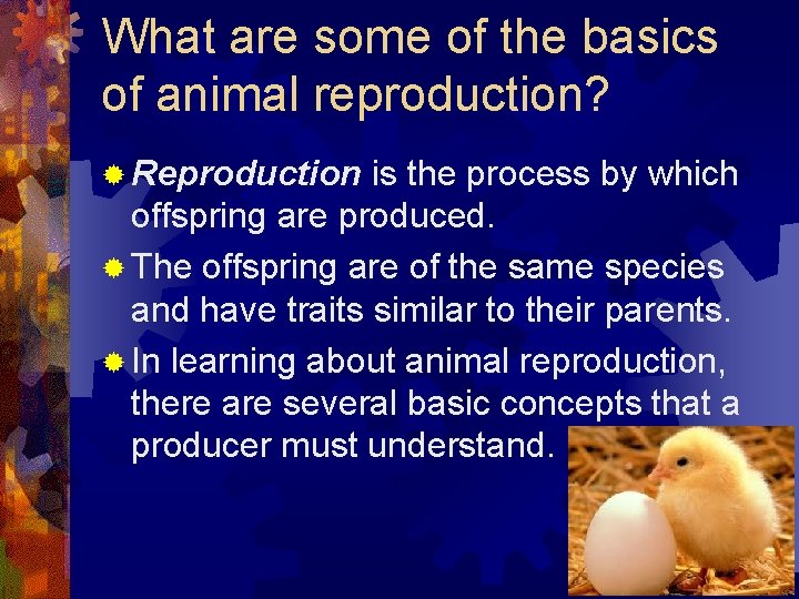 What are some of the basics of animal reproduction? ® Reproduction is the process