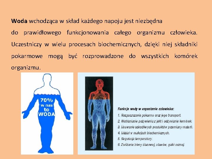 Woda wchodząca w skład każdego napoju jest niezbędna do prawidłowego funkcjonowania całego organizmu człowieka.