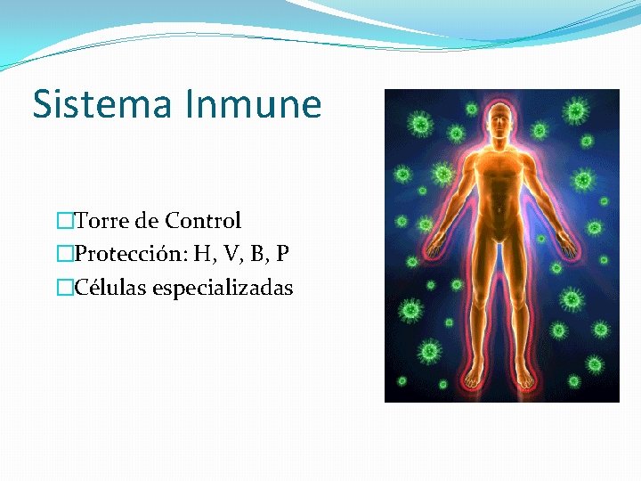 Sistema Inmune �Torre de Control �Protección: H, V, B, P �Células especializadas 