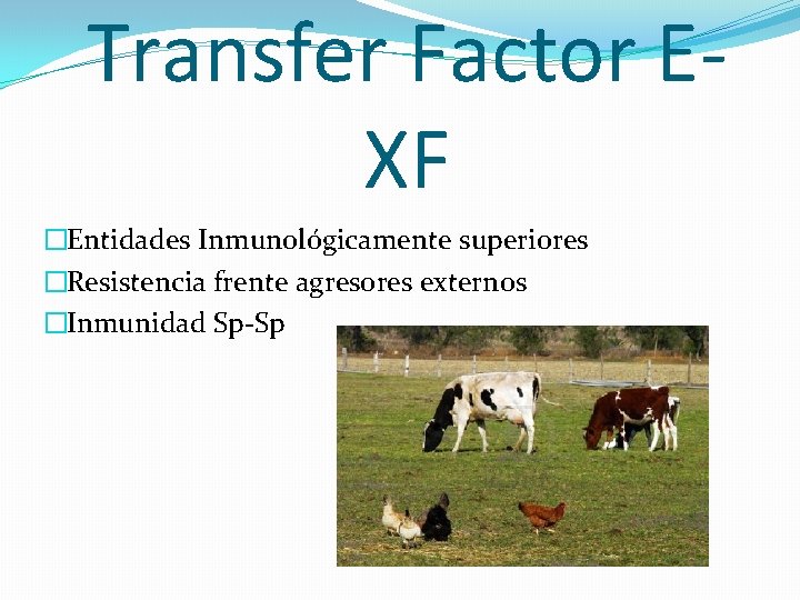 Transfer Factor EXF �Entidades Inmunológicamente superiores �Resistencia frente agresores externos �Inmunidad Sp-Sp 