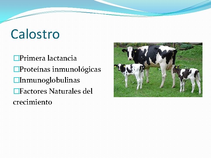 Calostro �Primera lactancia �Proteínas inmunológicas �Inmunoglobulinas �Factores Naturales del crecimiento 